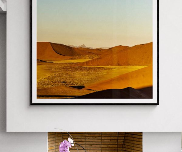 2-Namib desert mockupedit